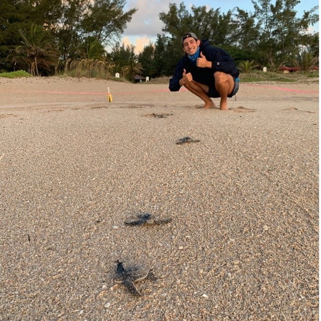 Robby Spekis and Sea Turtle Hatchlings
